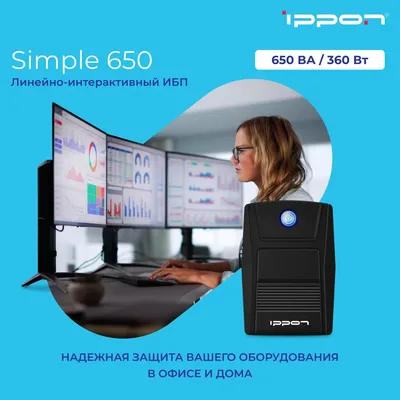 Источник бесперебойного питания Ippon Simple 650 Euro 360Вт 650ВА черный